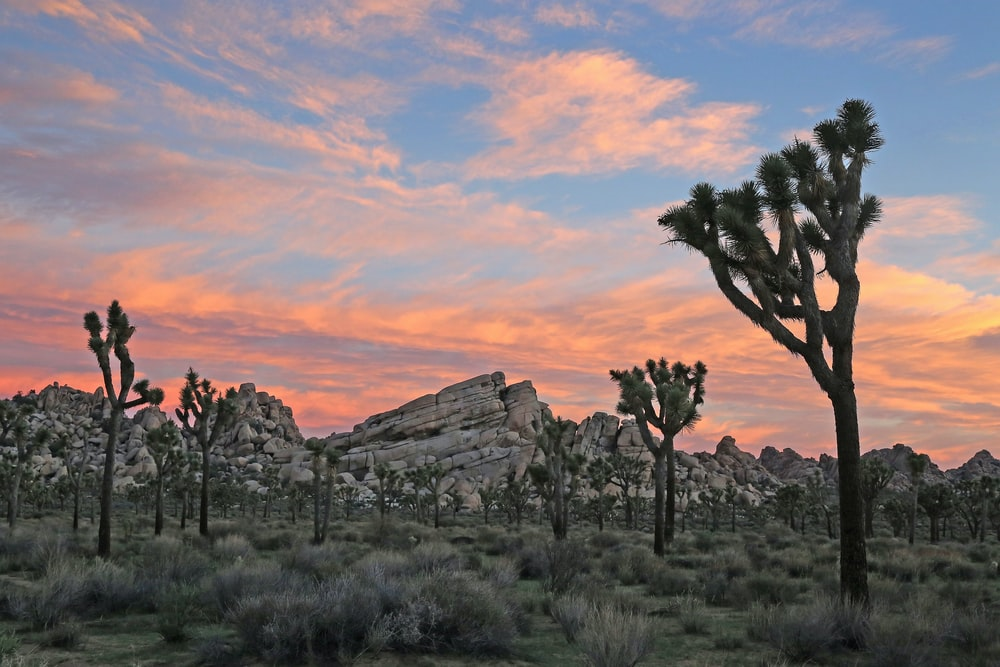 Four National Park Campsites To Add To Your Bucket List