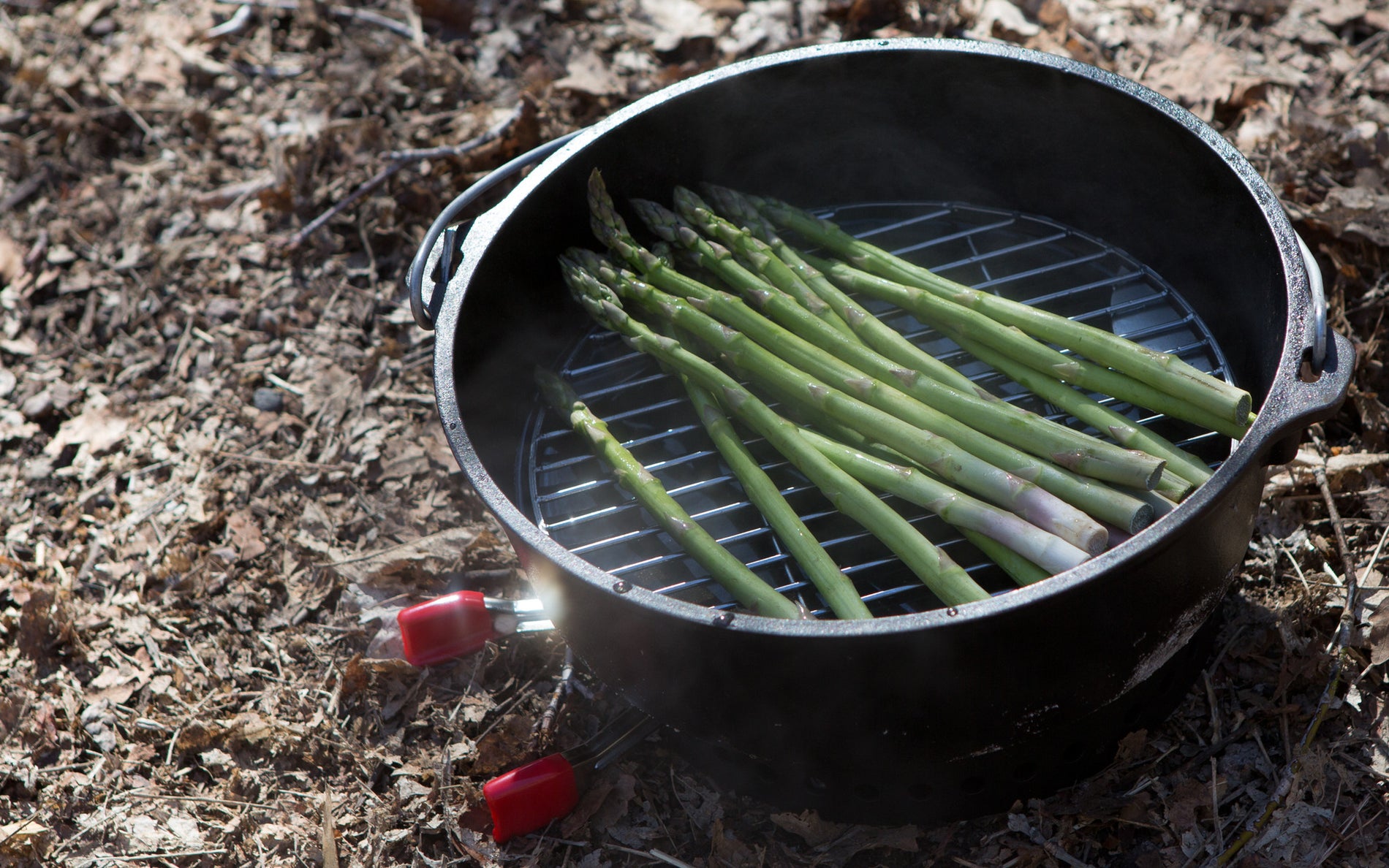 Flip Grill & Trivet For Dutch Ovens CampMaid